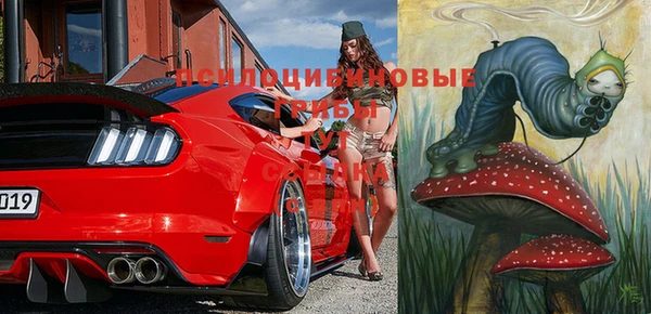мяу мяу мука Абдулино